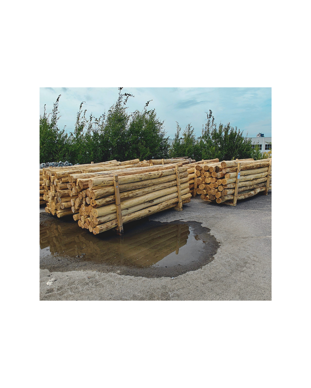 Robinia miljöstolpe - skalad robinia diameter 10/12