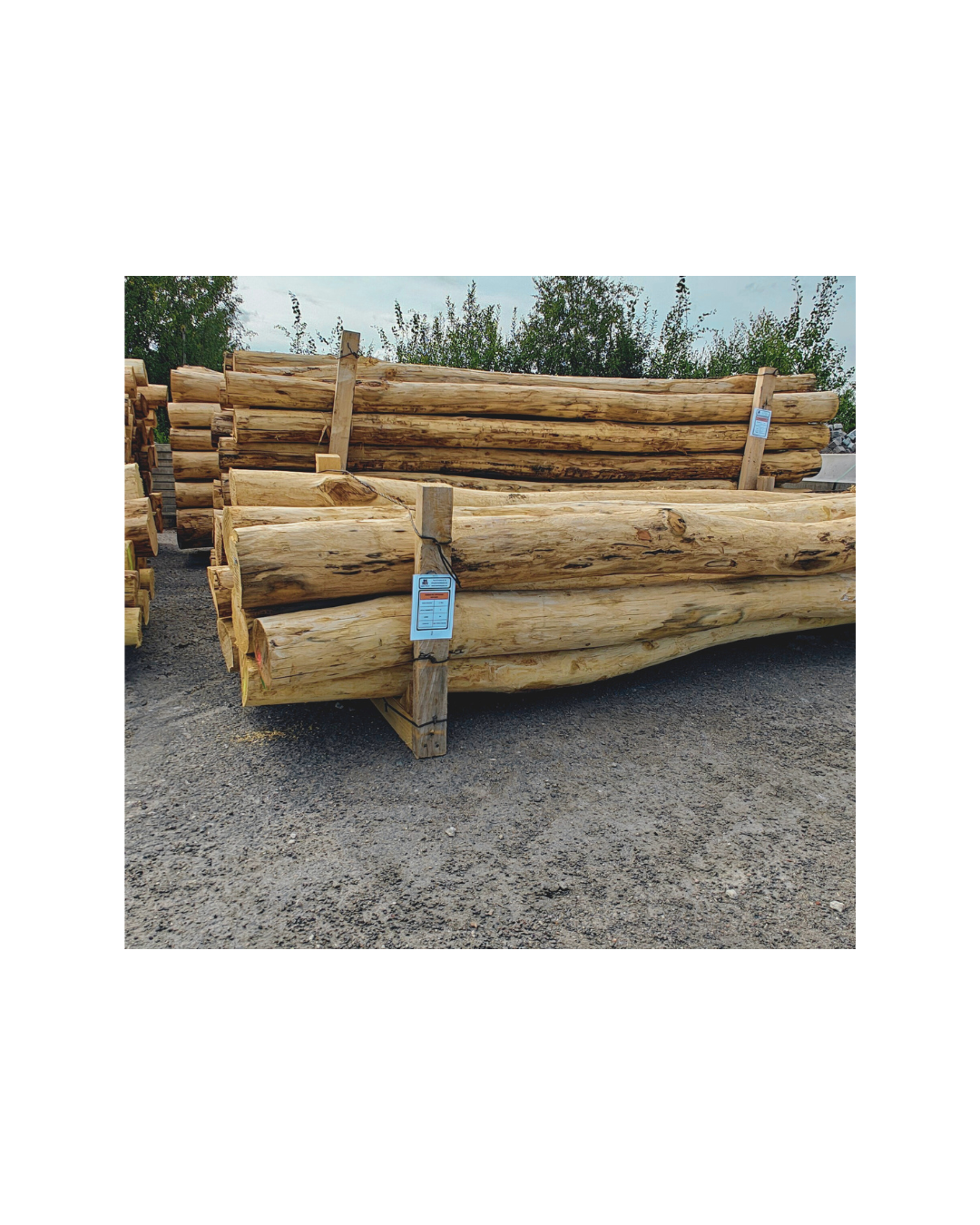 Robinia miljöstolpe - skalad robinia diameter 10/12