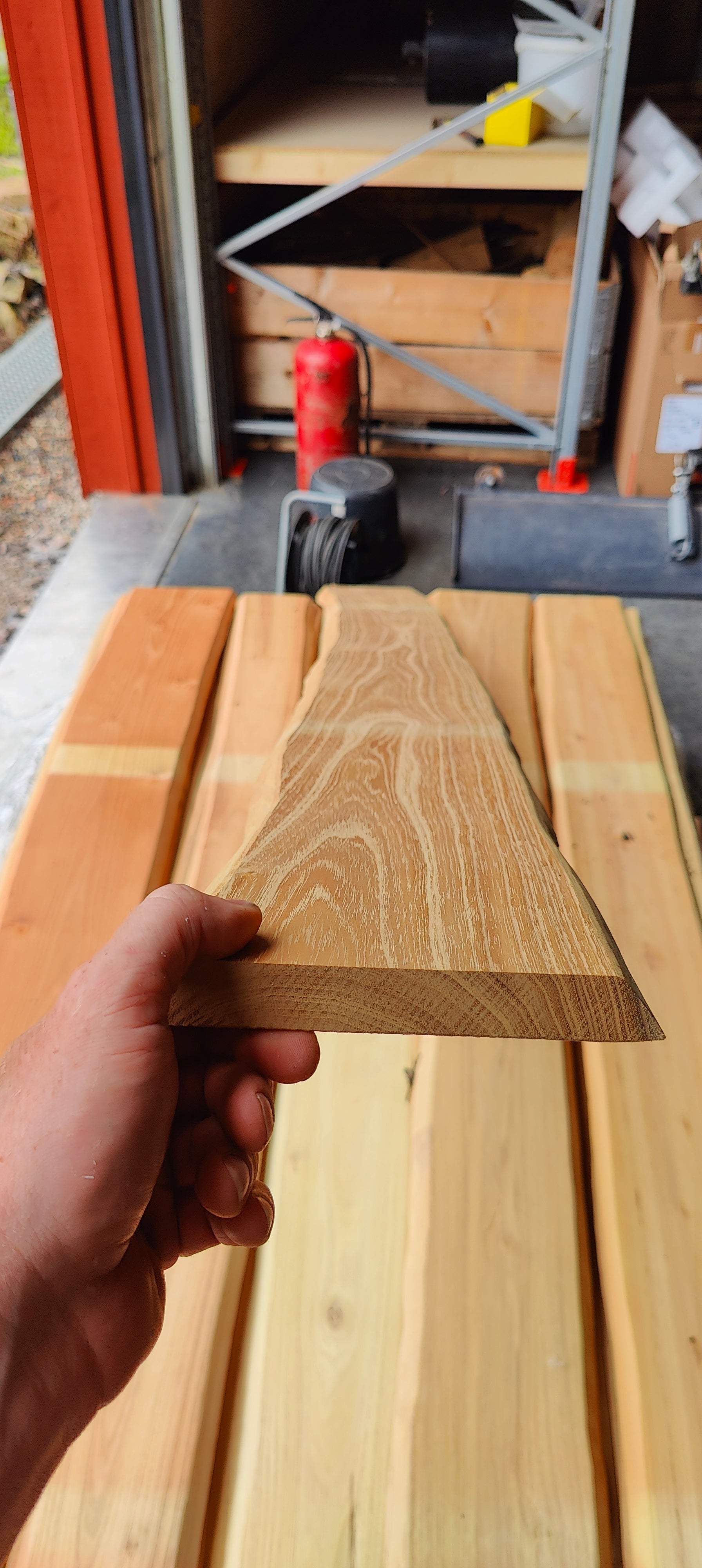 Hand holding a piece of wood with visible grain pattern in an outdoor setting.