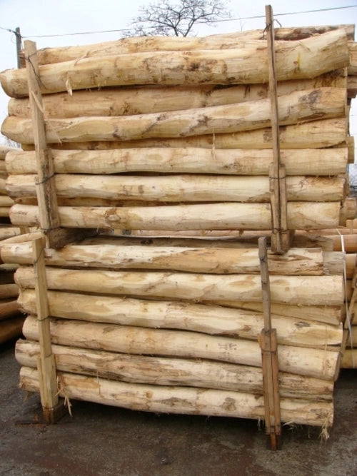 Stack of robinia wooden logs tied together with ropes on a concrete surface.
