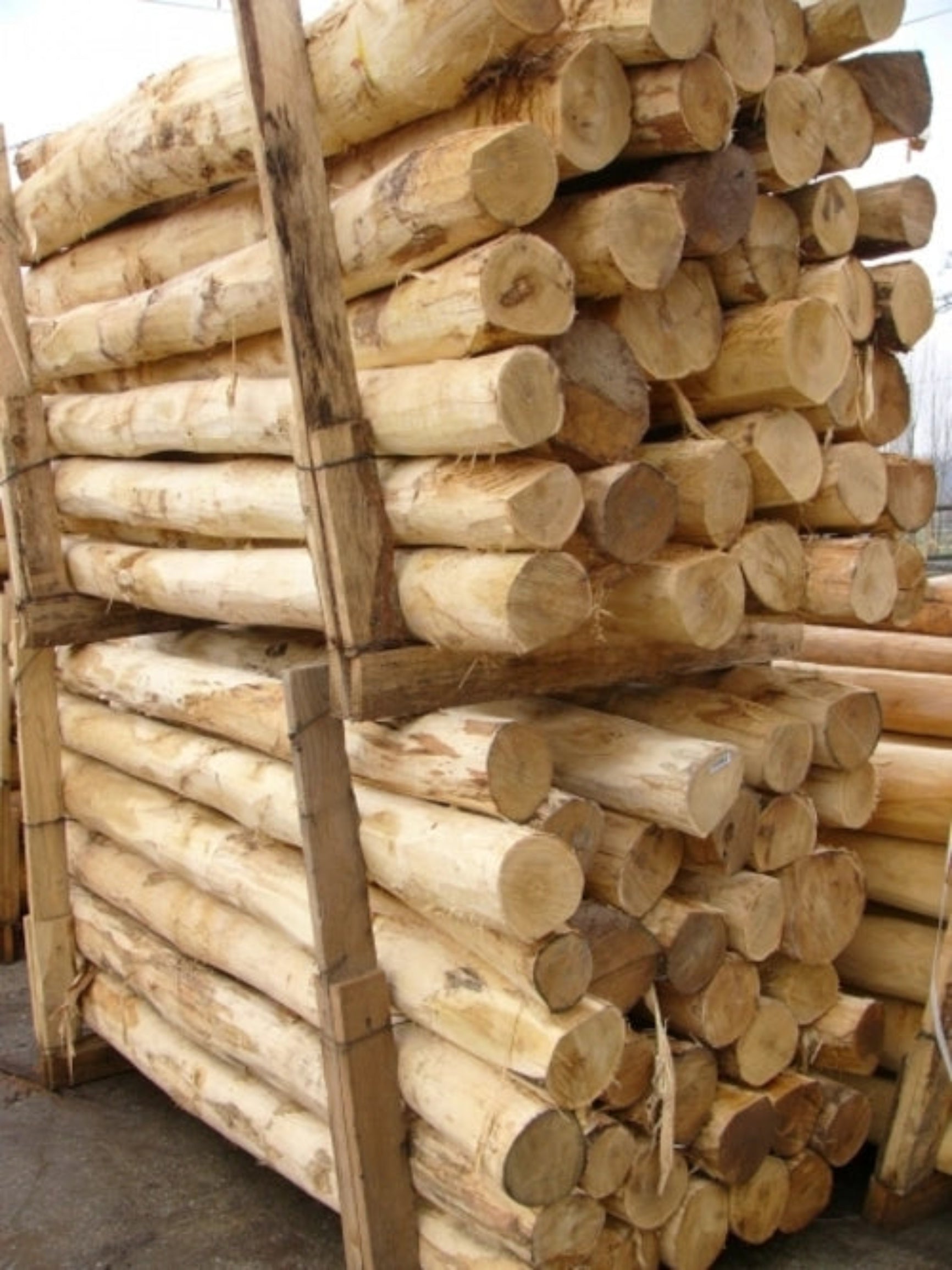 Stacks of robinia wooden logs on a concrete surface